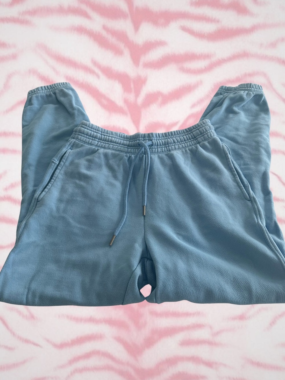 aerie Light Blue Cozy Track Joggers